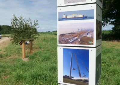 La construction du parc éolien