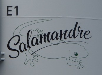 Eolienne Salamandre